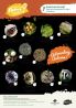 Astounding Autumn Hunt