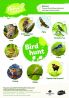 Bird Hunt