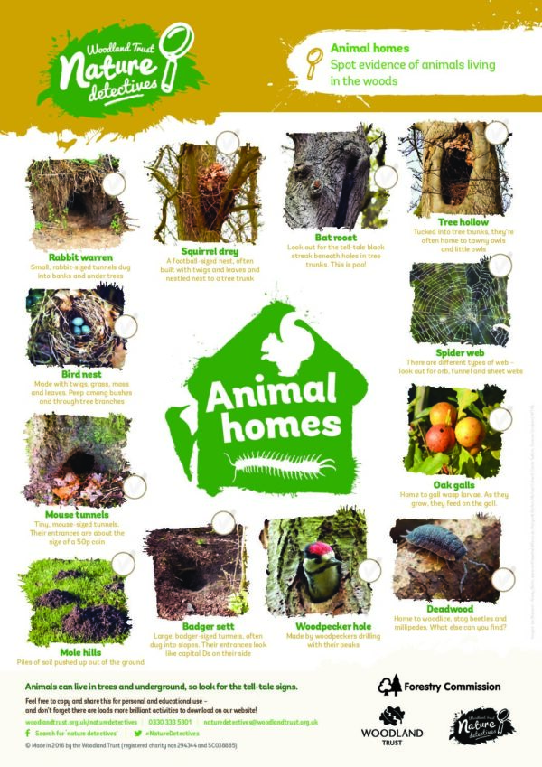 Animal Homes