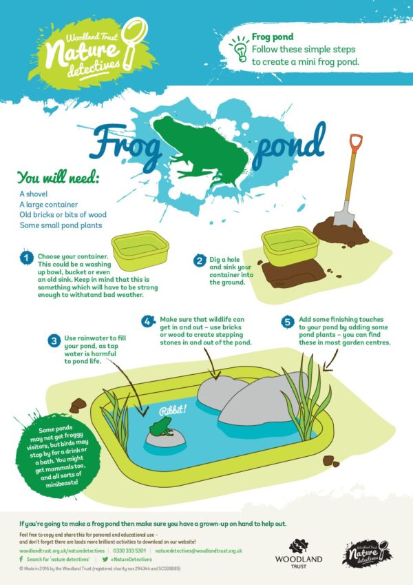 Build a Frog Pond